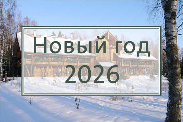 Новогодние праздники 2026 г.