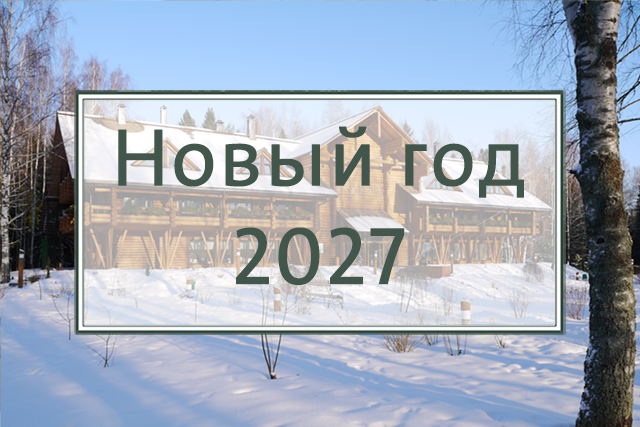 Новый год и Рождество 2027