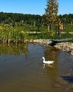 IMG_4828.JPG